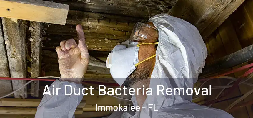 Air Duct Bacteria Removal Immokalee - FL