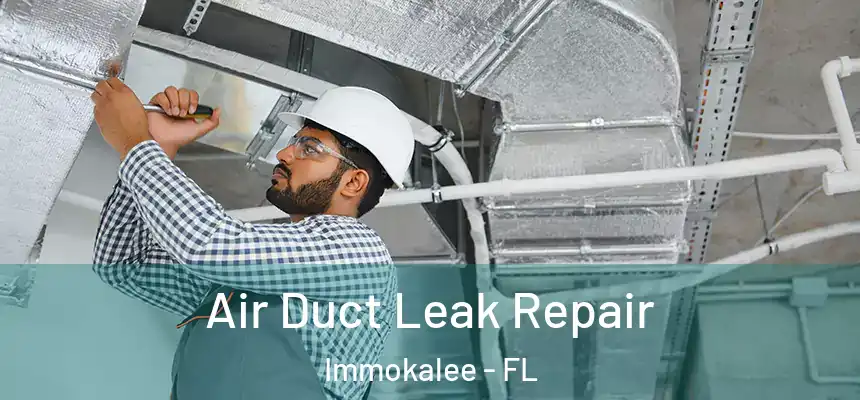 Air Duct Leak Repair Immokalee - FL