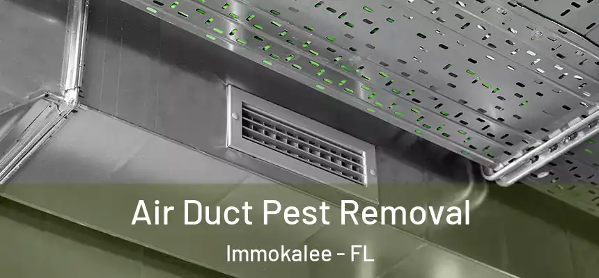Air Duct Pest Removal Immokalee - FL