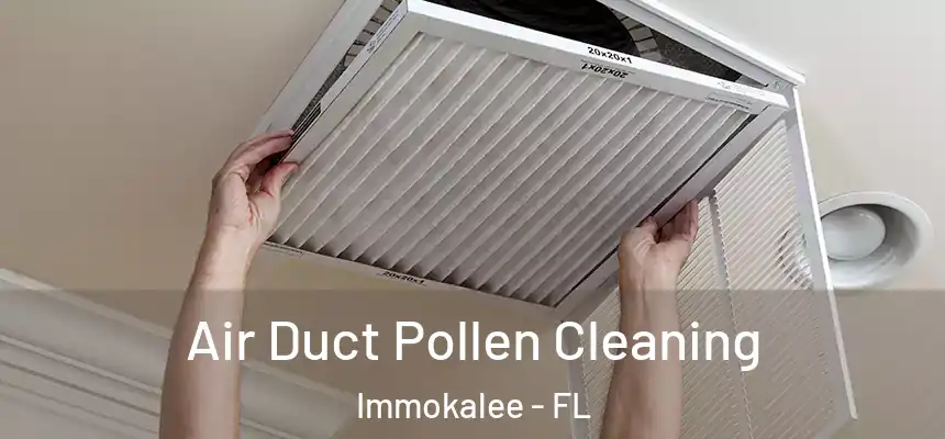 Air Duct Pollen Cleaning Immokalee - FL