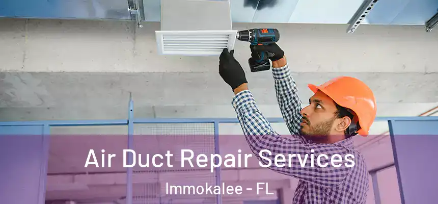 Air Duct Repair Services Immokalee - FL