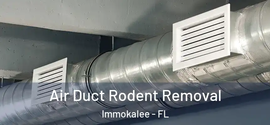 Air Duct Rodent Removal Immokalee - FL