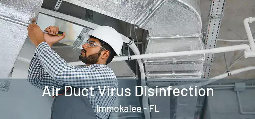 Air Duct Virus Disinfection Immokalee - FL