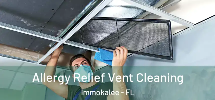 Allergy Relief Vent Cleaning Immokalee - FL