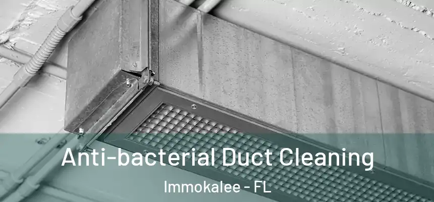 Anti-bacterial Duct Cleaning Immokalee - FL