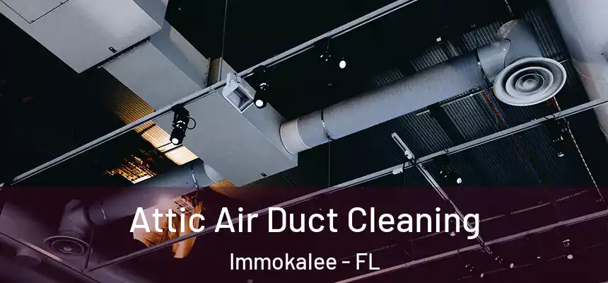 Attic Air Duct Cleaning Immokalee - FL