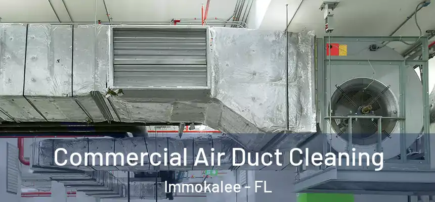 Commercial Air Duct Cleaning Immokalee - FL