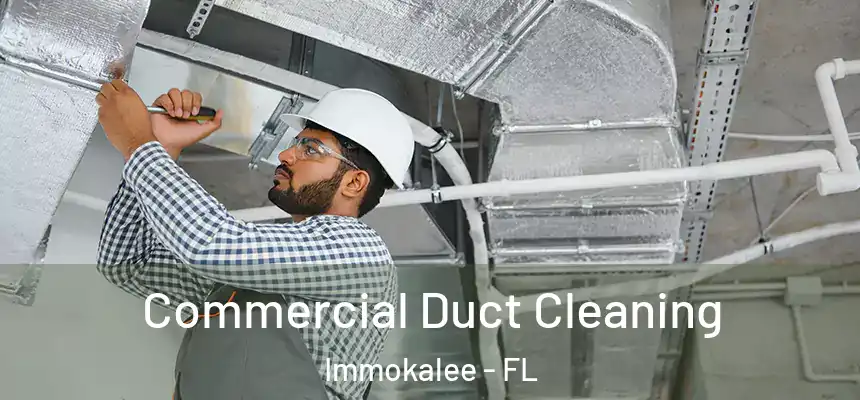 Commercial Duct Cleaning Immokalee - FL