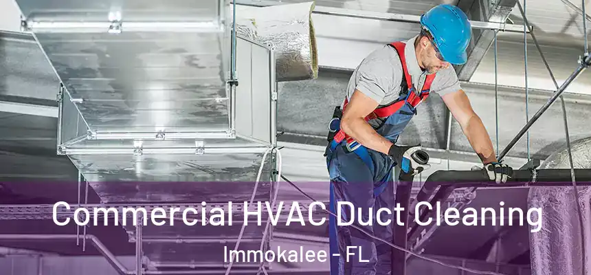 Commercial HVAC Duct Cleaning Immokalee - FL