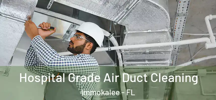 Hospital Grade Air Duct Cleaning Immokalee - FL