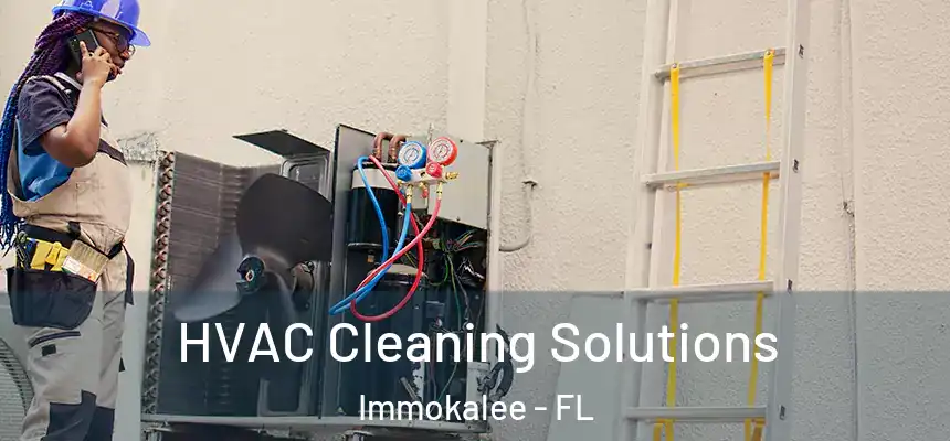 HVAC Cleaning Solutions Immokalee - FL