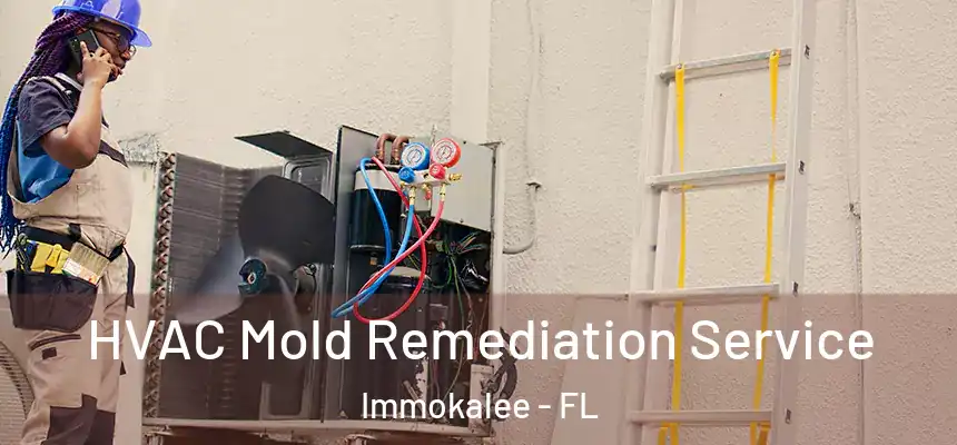 HVAC Mold Remediation Service Immokalee - FL