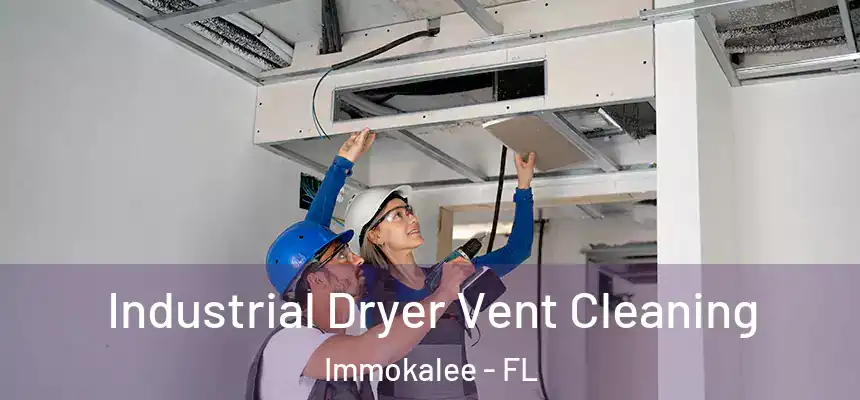 Industrial Dryer Vent Cleaning Immokalee - FL