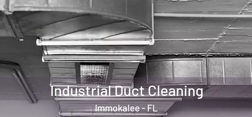 Industrial Duct Cleaning Immokalee - FL