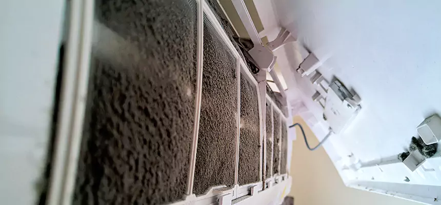 Preventive Air Duct Bacteria Removal in Immokalee