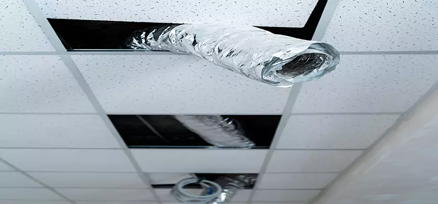 Our Air Duct Pet Hair Removal Services in Immokalee, FL