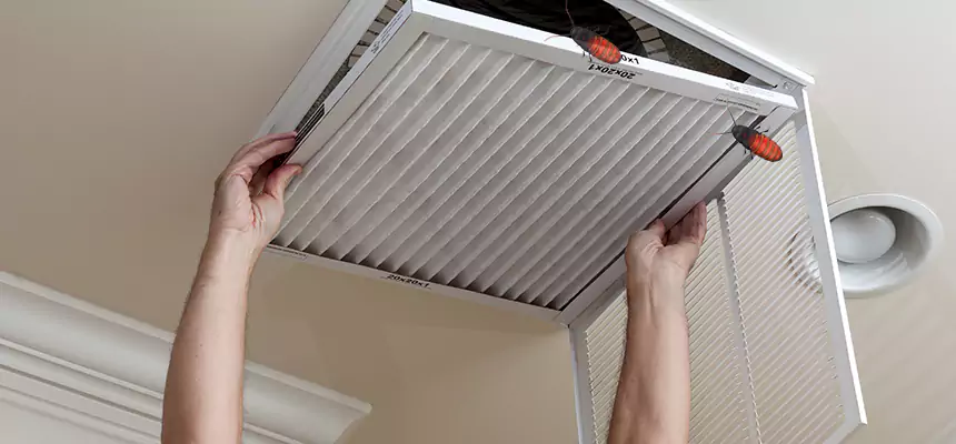 Our Insect Removal from Air Ducts Services in Immokalee, FL