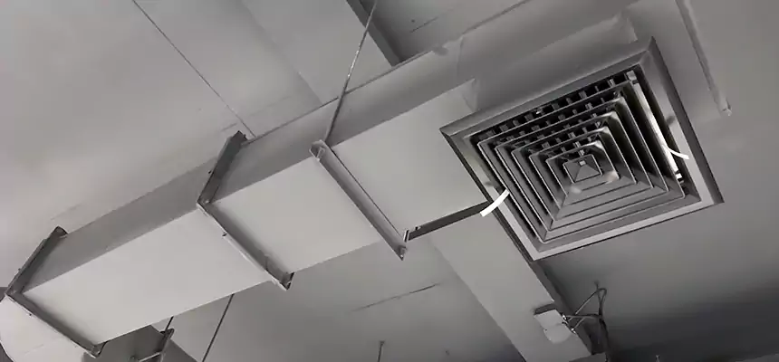 Our Pest Removal From Ducts Services in Immokalee, FL