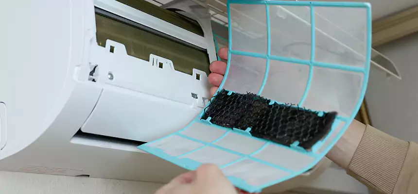 Gentle Ductwork Odor-Control Pet Dander Duct Cleaning in Immokalee, FL