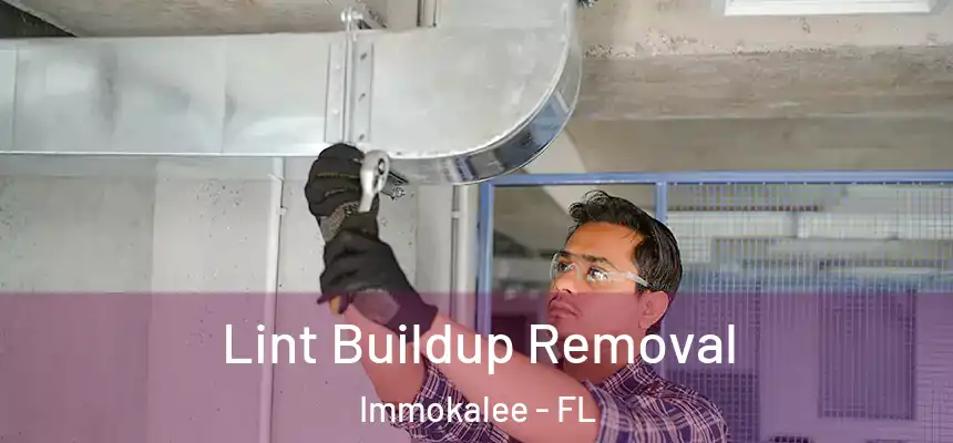 Lint Buildup Removal Immokalee - FL