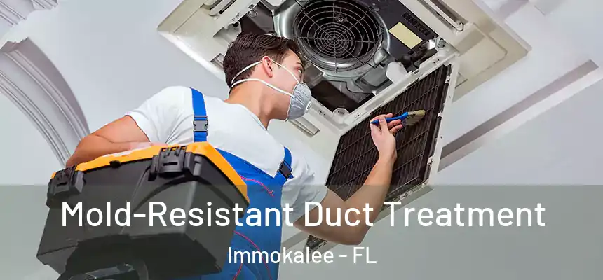 Mold-Resistant Duct Treatment Immokalee - FL
