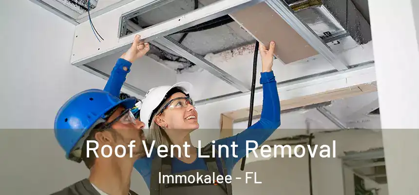 Roof Vent Lint Removal Immokalee - FL