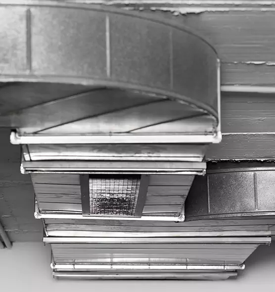 Professional Air Duct Pet Hair Removal in Immokalee, FL