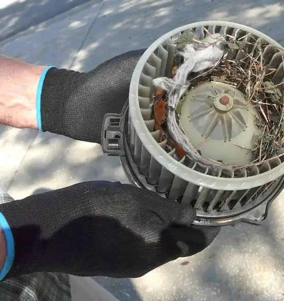 About Air Duct Rat Removal in Immokalee, FL