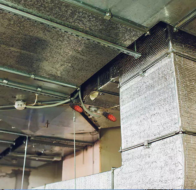 Why Homeowners & Businesses Trust Us in Immokalee, FL?