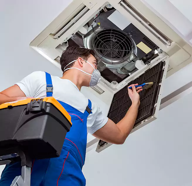 Why Homeowners & Businesses Trust Us in Immokalee, FL?