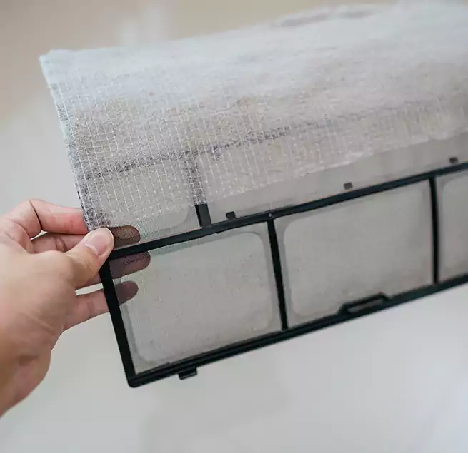 Why Homeowners & Businesses Trust Us in Immokalee, FL?