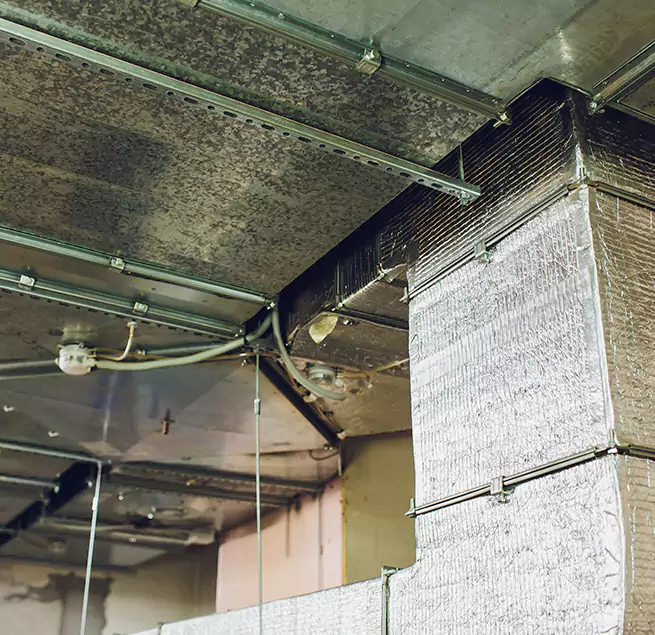 Why Homeowners & Businesses Trust Us in Immokalee, FL?