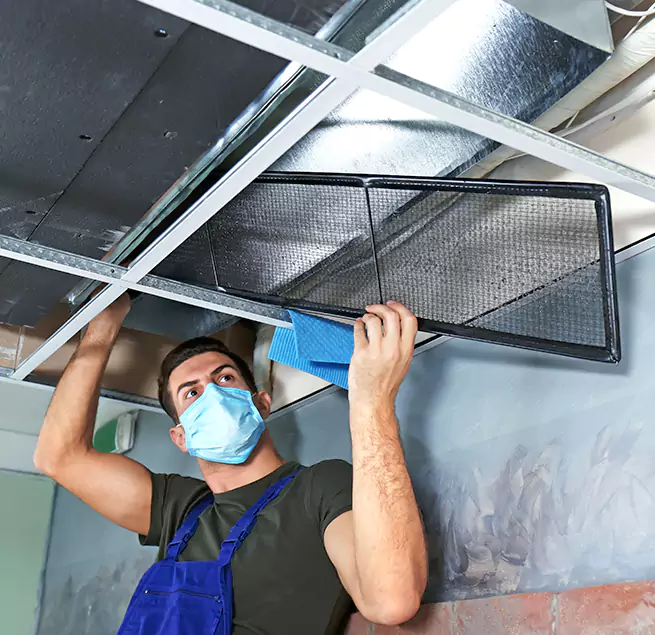 Why Homeowners & Businesses Trust Us in Immokalee, FL?