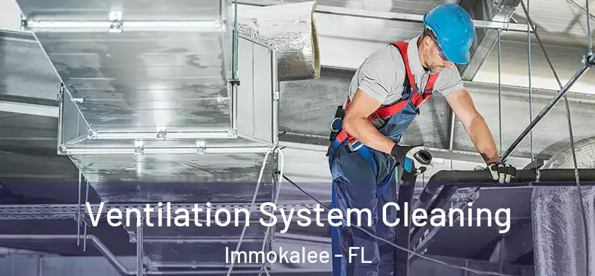 Ventilation System Cleaning Immokalee - FL