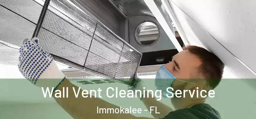 Wall Vent Cleaning Service Immokalee - FL