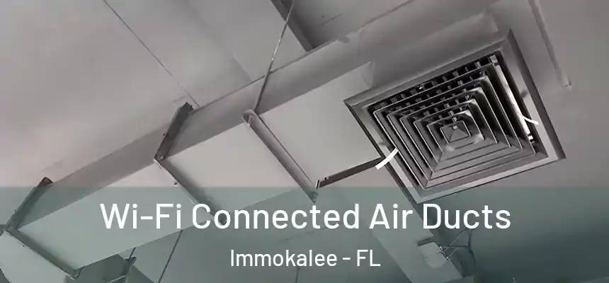 Wi-Fi Connected Air Ducts Immokalee - FL